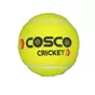 Cricket Tennis Ball Cosco 1 piece