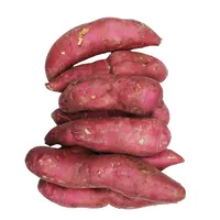 Batatas Dulces Shakar Kandi 1kg