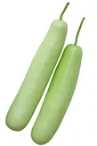 Bottle Gourd (Lauki)1kg