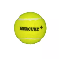 Теннисный мяч для крикета Tennis Balls Mercury+ 1 штука