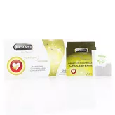 Wellness Tea - Cholesterol Control Hemani 20 torebek