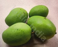 Fresh Green Mangoes(small) - 500g