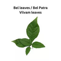 BilvamLeaves-BelPatra 10g