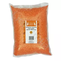 Soczewica czerwona Masoor Dhall Little India 5kg