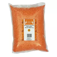 Soczewica czerwona Masoor Dhall Little India 5kg