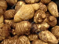 Arbi – korzeń Taro 500g