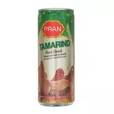 Tamarind Fruit Drink Pran 250ml