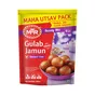 Instant Gulab Jamun Mix MTR 500g