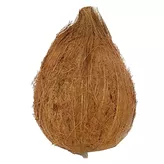 Fresh Coconut Pooja 1 psc