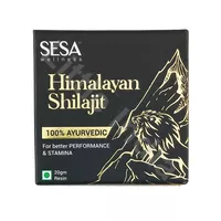 Ayurvedic Himalayan Shilajit Resin Sesa 20g