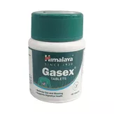 Gasex пищеварительная система Himalaya 100 таблеток