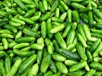 Ivy Gourd/Tindora 250g