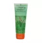 Saundarya Aoe Vera Gel Patanjali 60ml