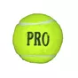 Piłka tenisowa do krykieta zielona Tennis Balls Pro 1 sztuka