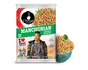 Instant Noodles Manchurian Ching's Secret 60g