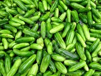 Ivy Gourd/Tindora 1kg