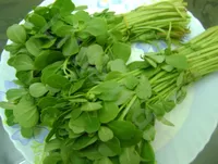 Fresh Methi Leaves (Per Bunch)