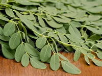 Moringa leaves (Malunga leaves) - Liście Moringi (Only for order) (pęczek)