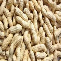 Peanuts Fresh 250g