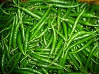 Zielone papryczka Green Chilli 1kg